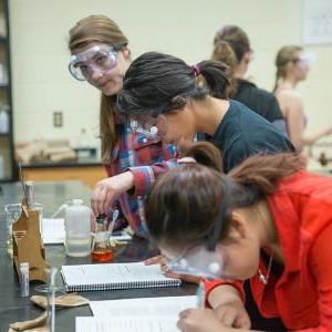 Chemistry students deeply engaged in class experiment